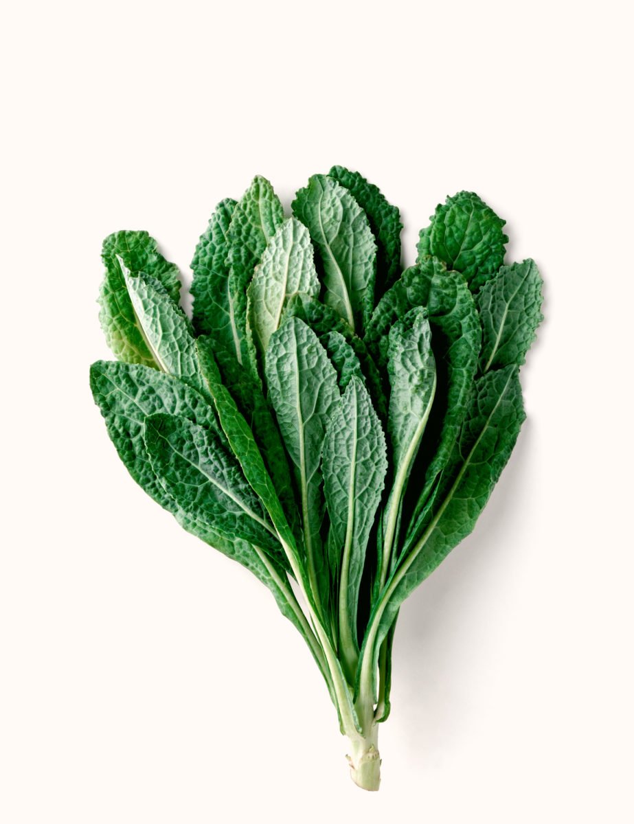 Greenery from the kitchen.